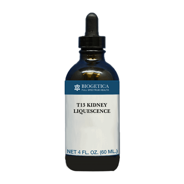 T13 Kidney Liquescence