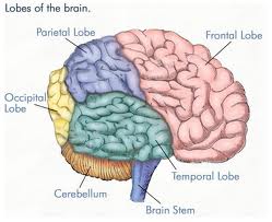 download