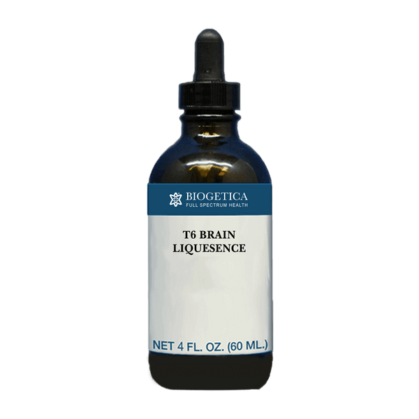 T6 Brain Liquesence