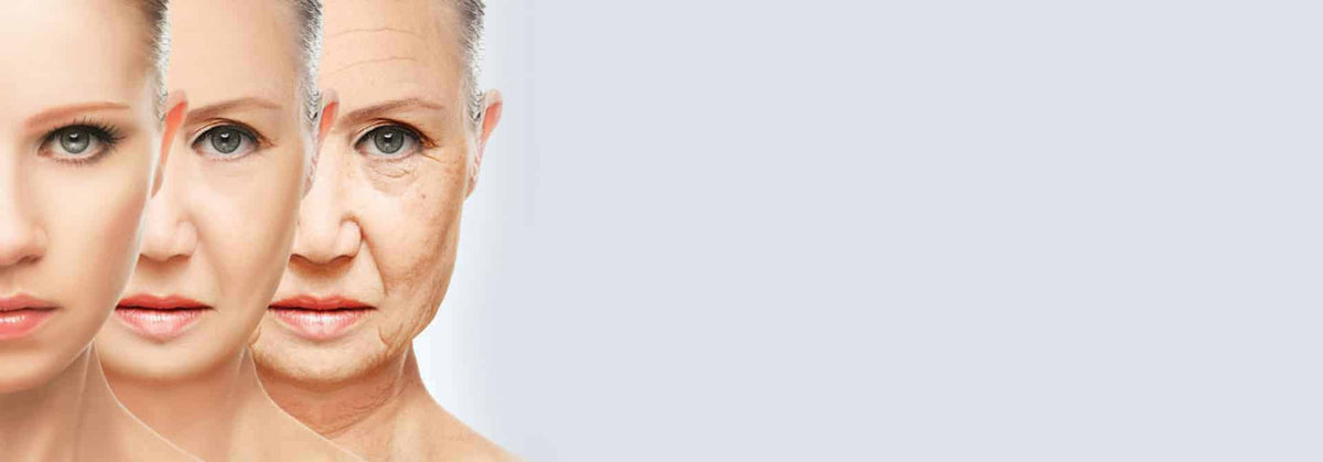 Anti-Aging