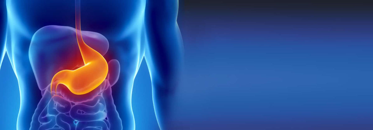 Digestive-Disorders