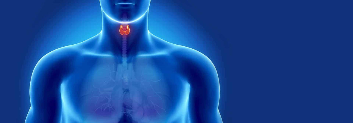 Hypothyroid