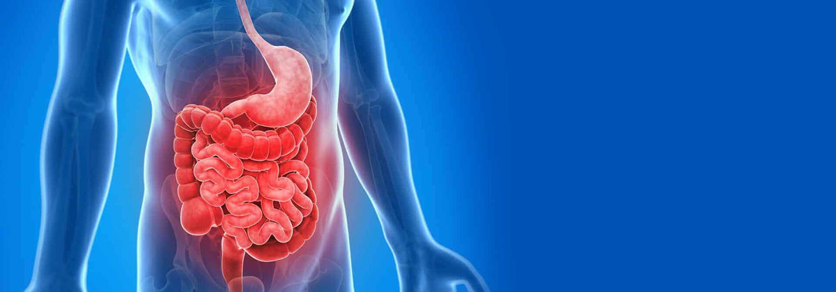 Irritable Bowel Syndrome