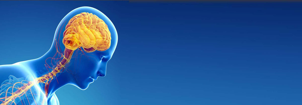 Parkinson's Disease